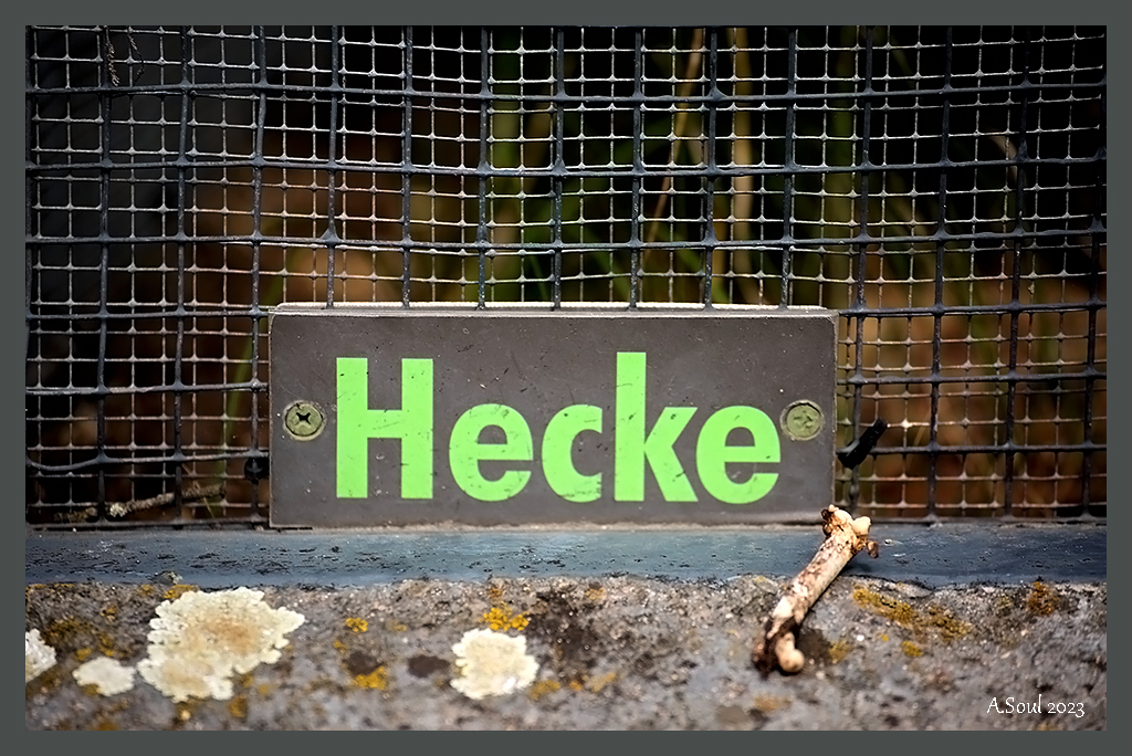 Hecke
