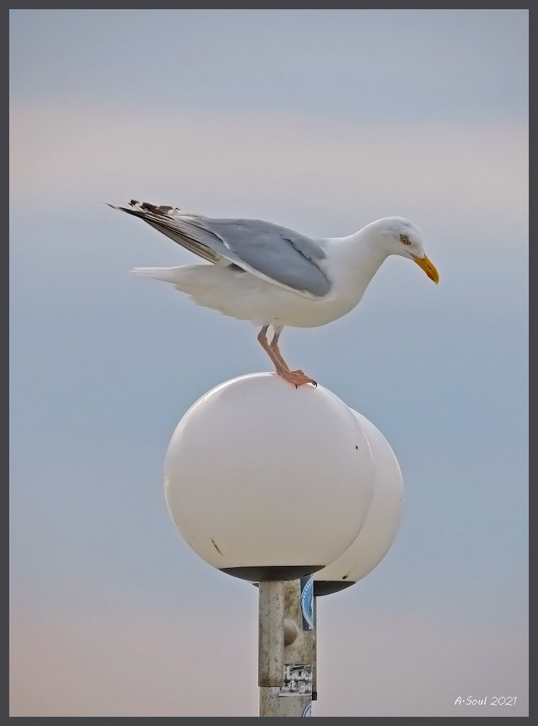 Balanceakt