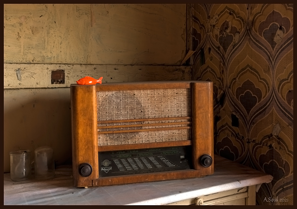 Radiofischi