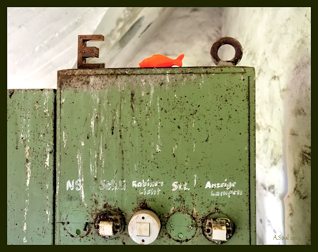 E und O