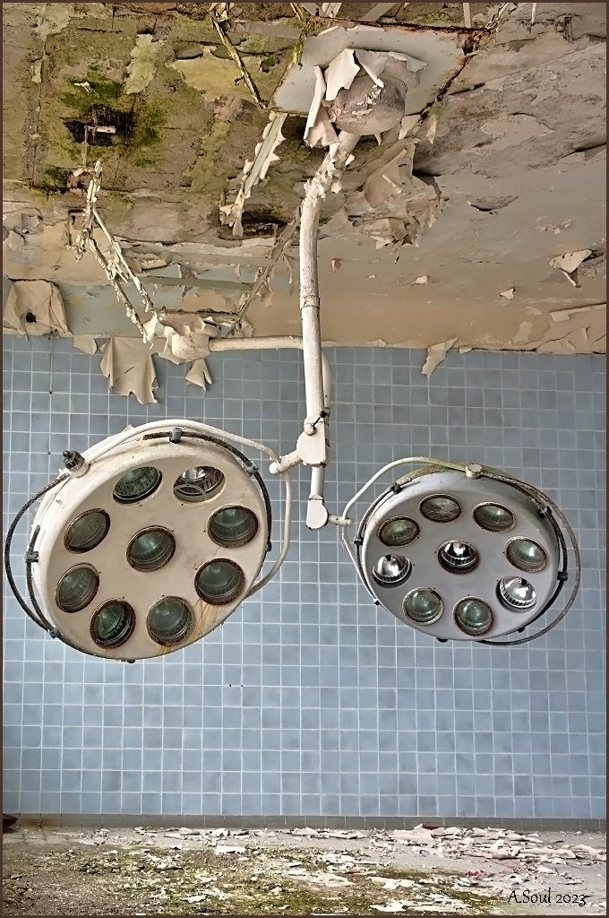 Doppelauge