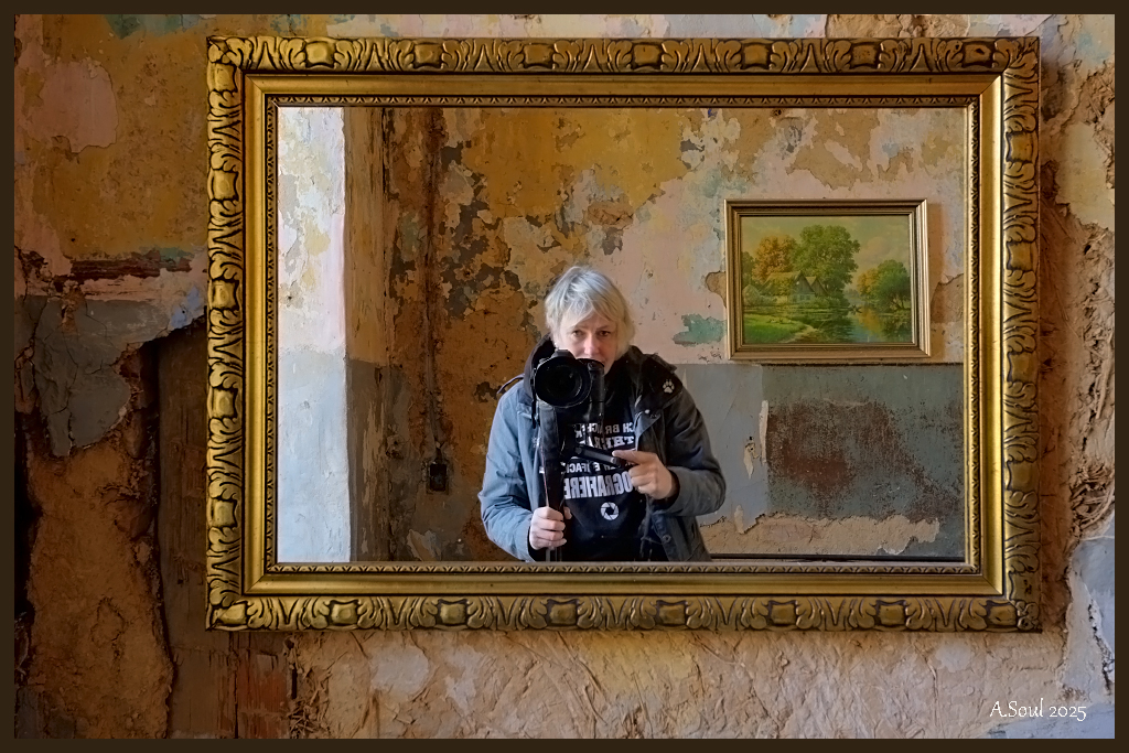 Bild im Bild