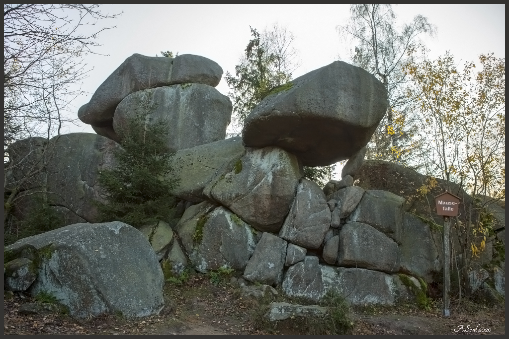 Die Mausefalle /Harz