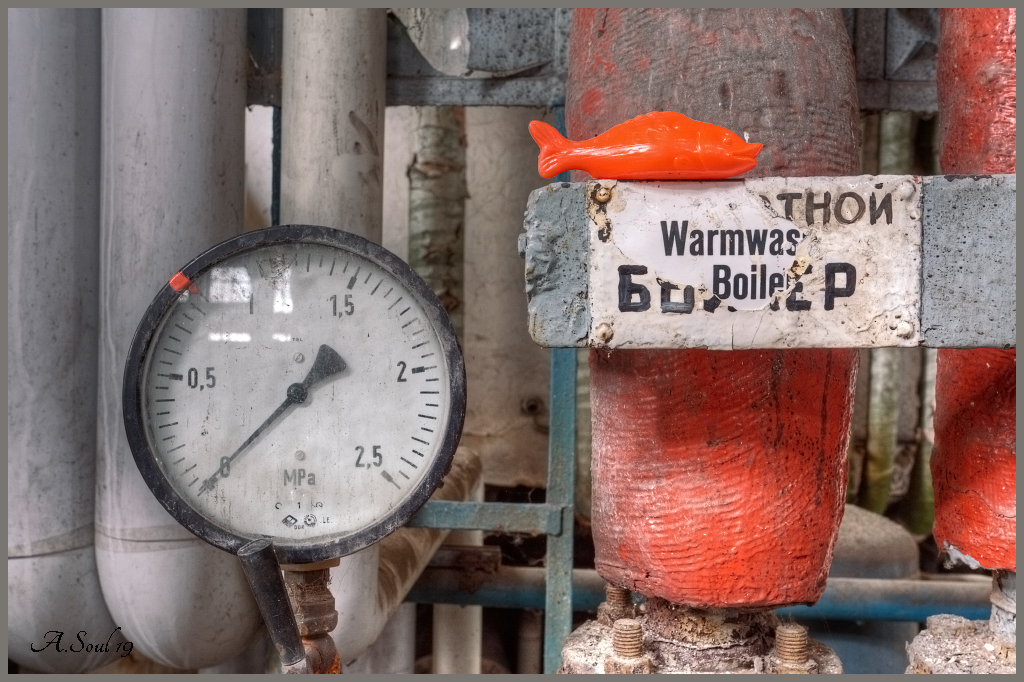 Warmwasserboiler