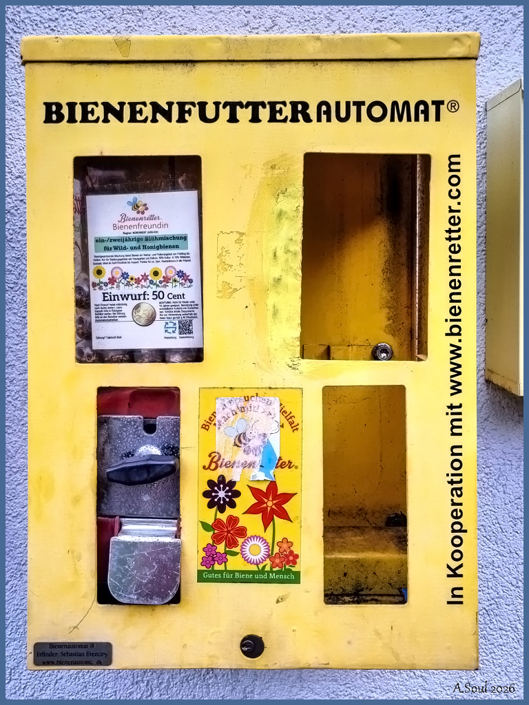 Bremer Bienenfutter