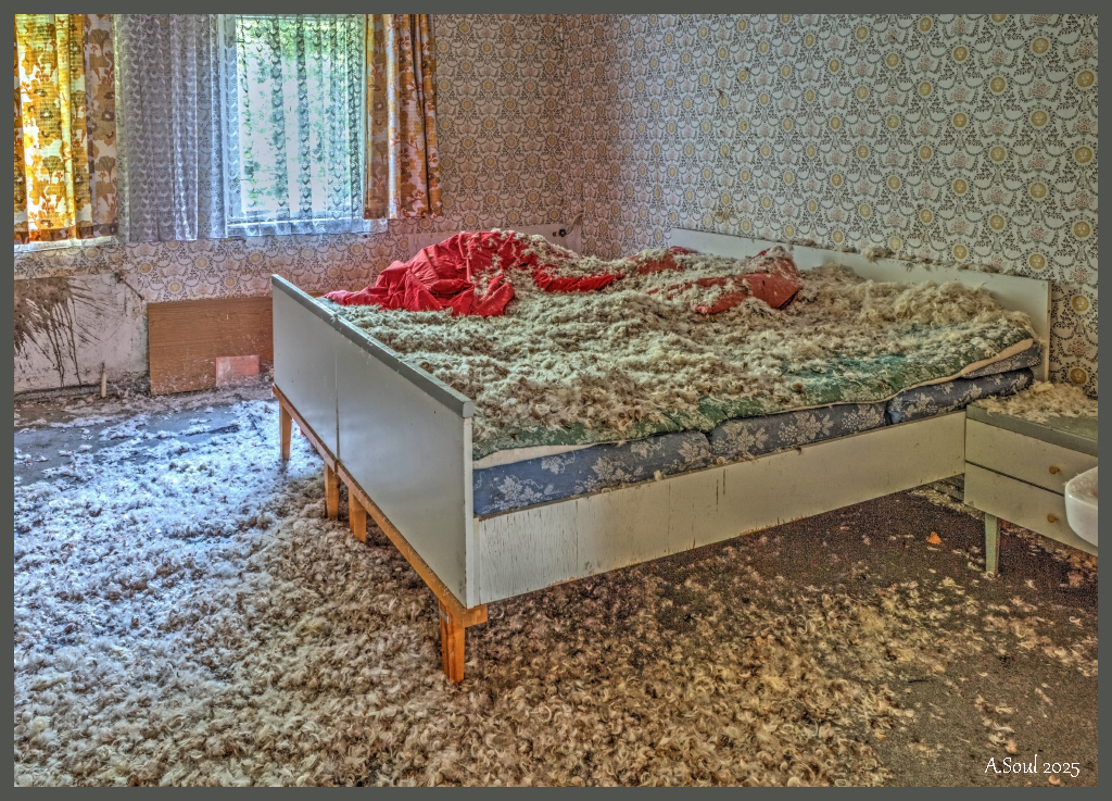 Nach der Kissenschlacht