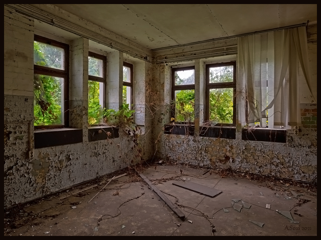 Büro mit Urwaldaussicht