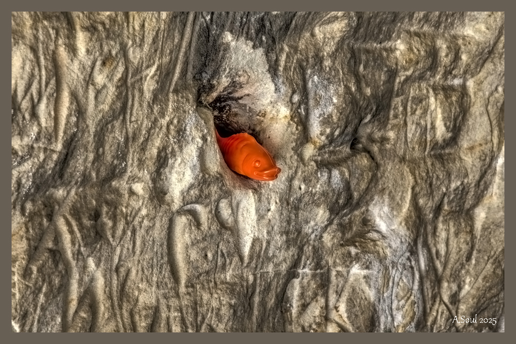 in der Wand