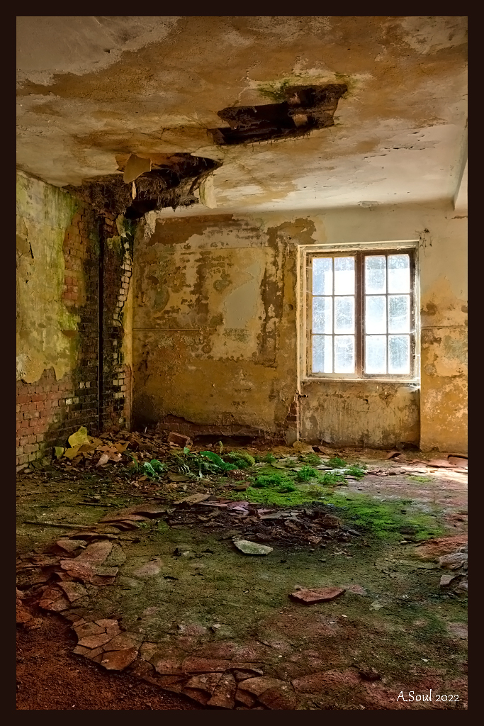 Neues Leben