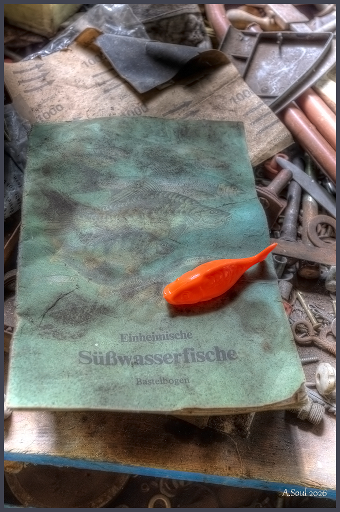 Einheimische Süßwasserfische