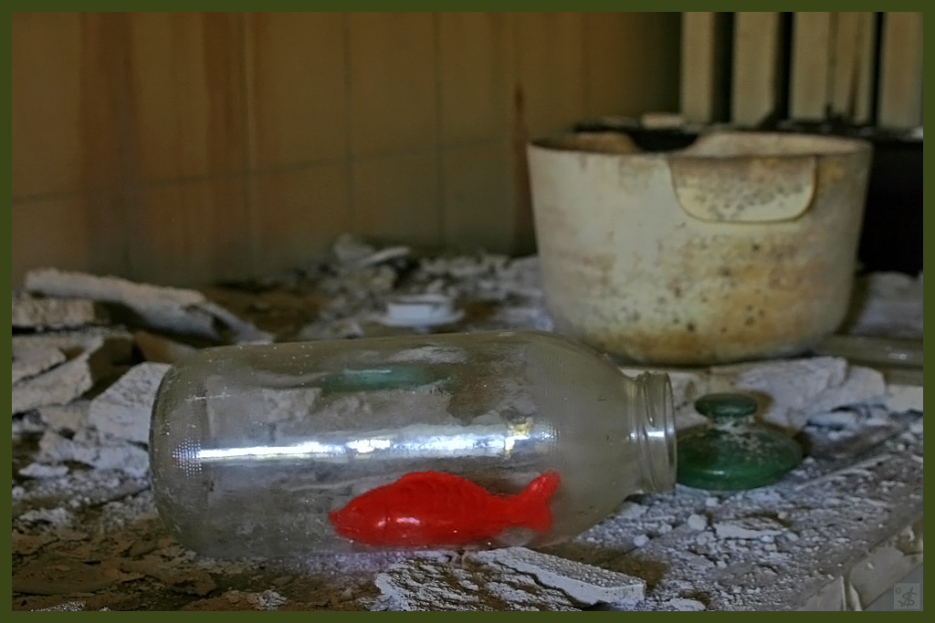 Fisch im Glas