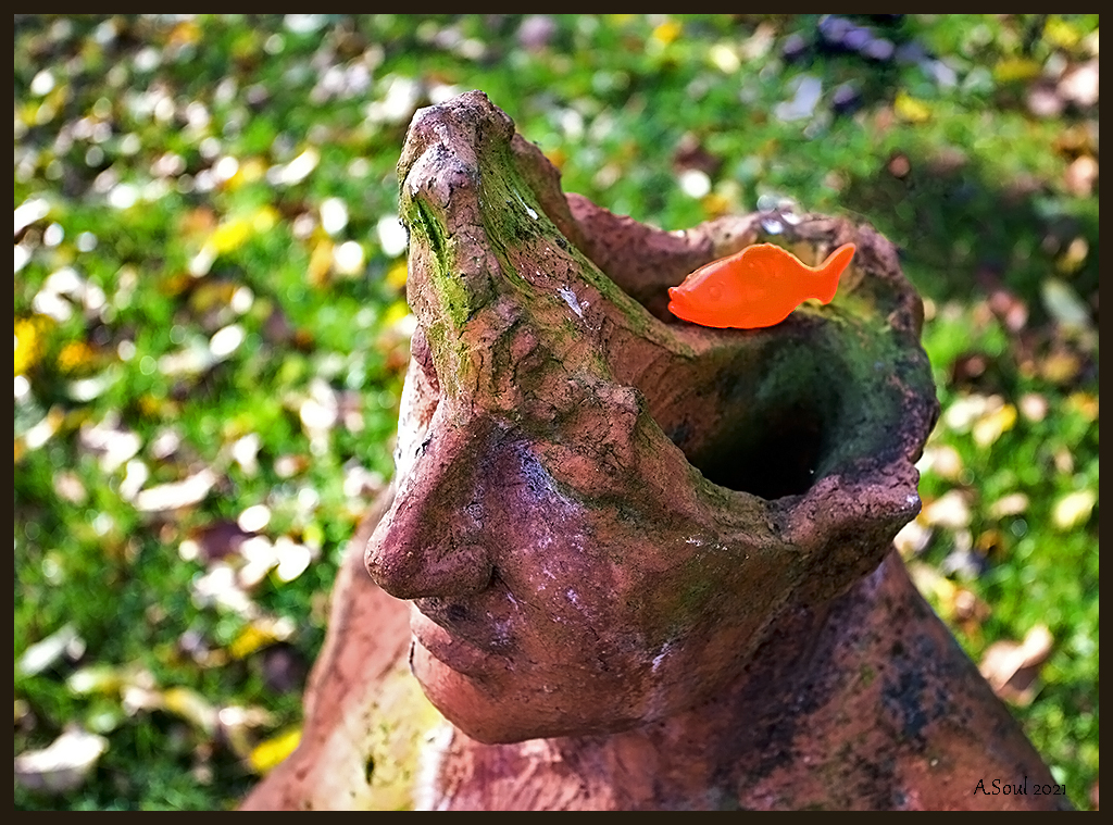 Fischi im Kopf