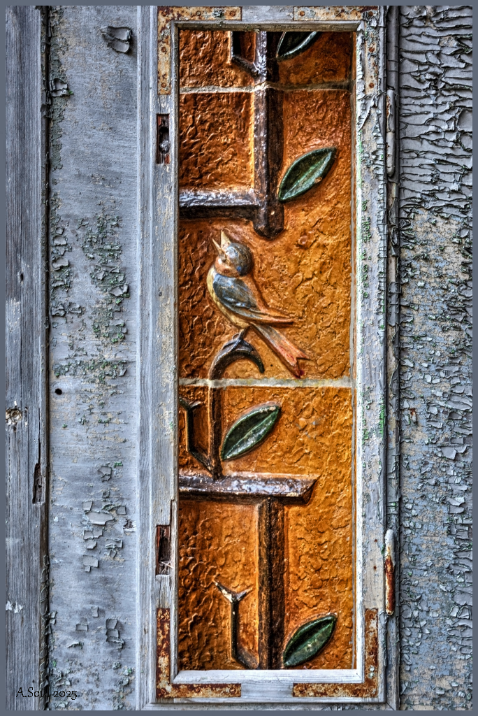 Window