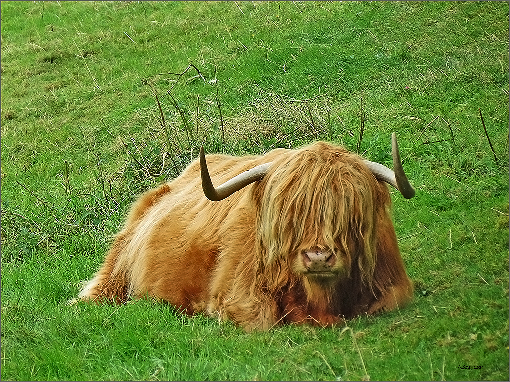 Zeit zu chillen