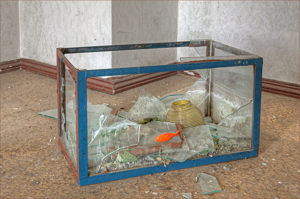 Aquarium