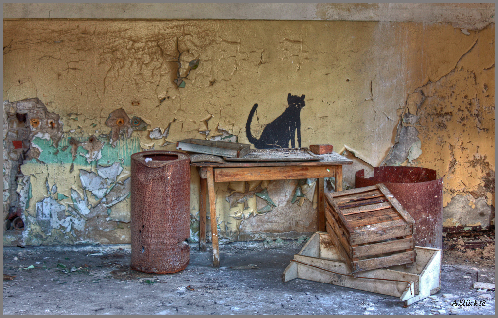 Katzenbild