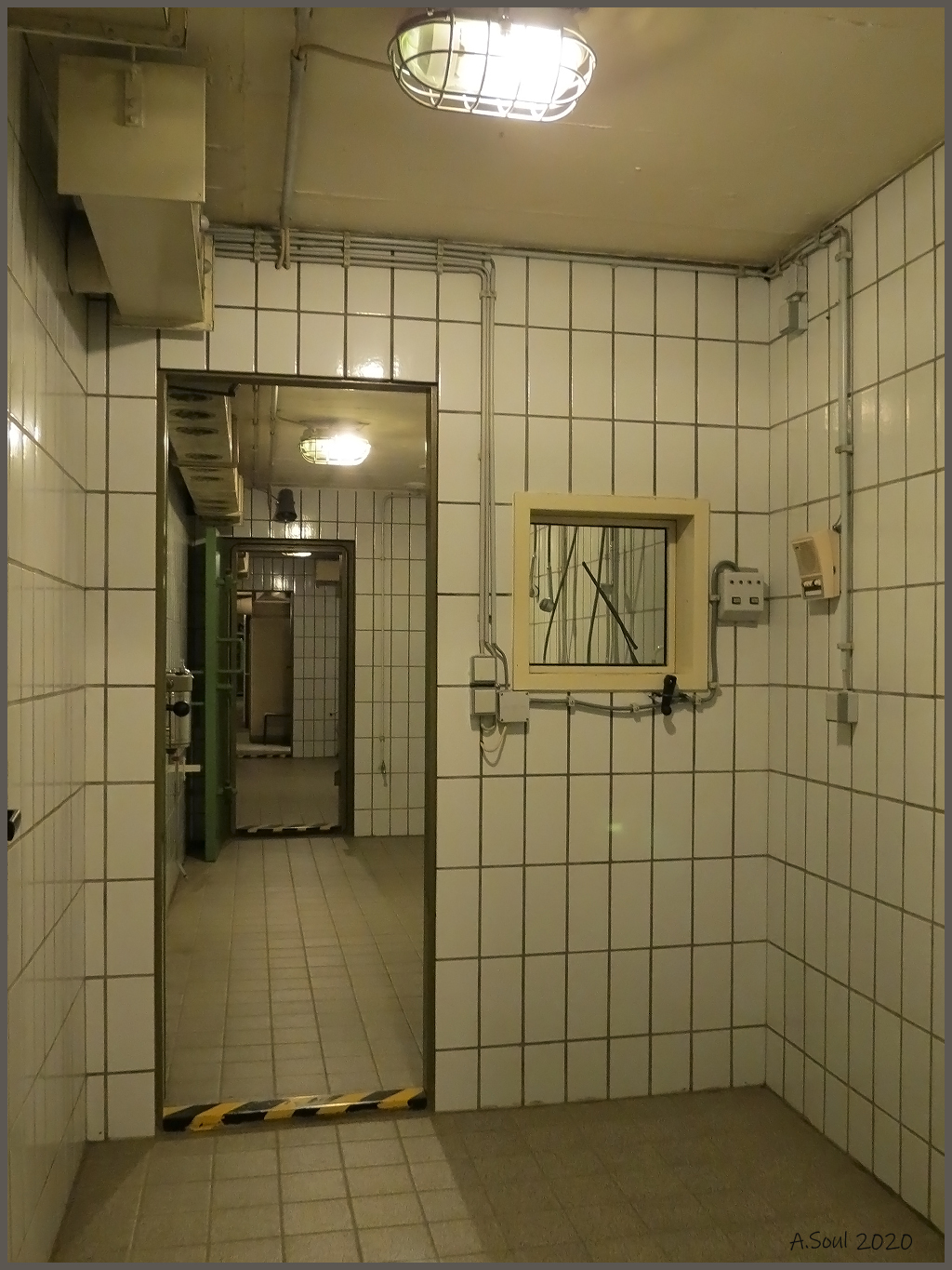 Dekonterminierungsblick