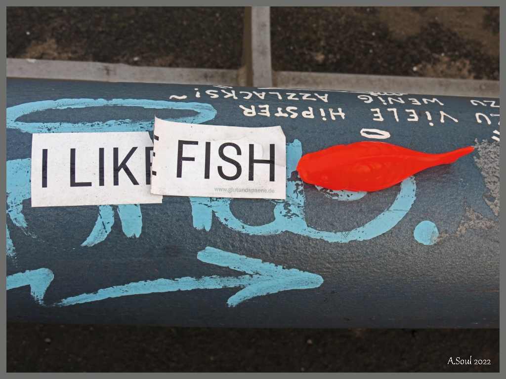 I like Fish