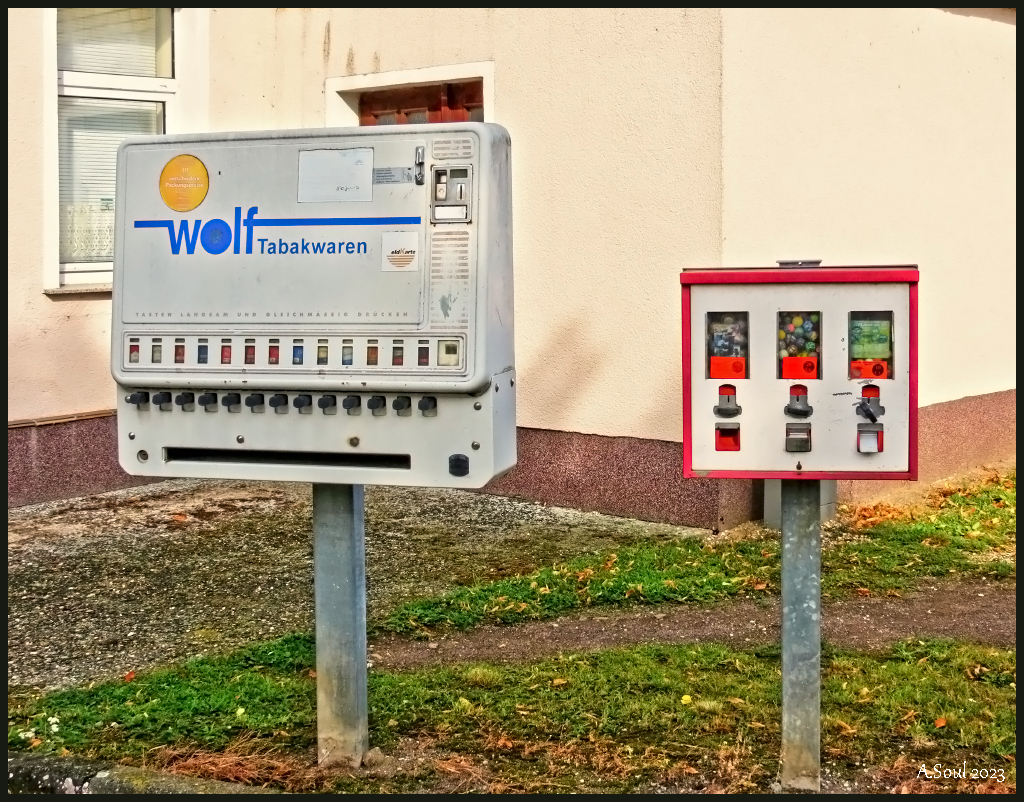 Wahlmöglichkeiten /Sachsen-Anhalt