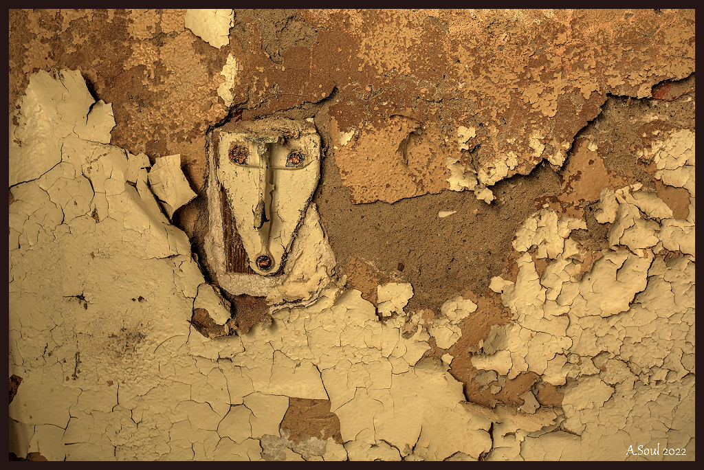 Das Gesicht in der Wand