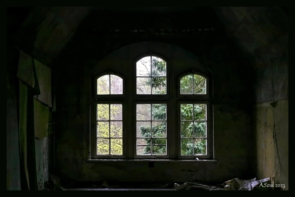 Ausblick auf Tannengrün