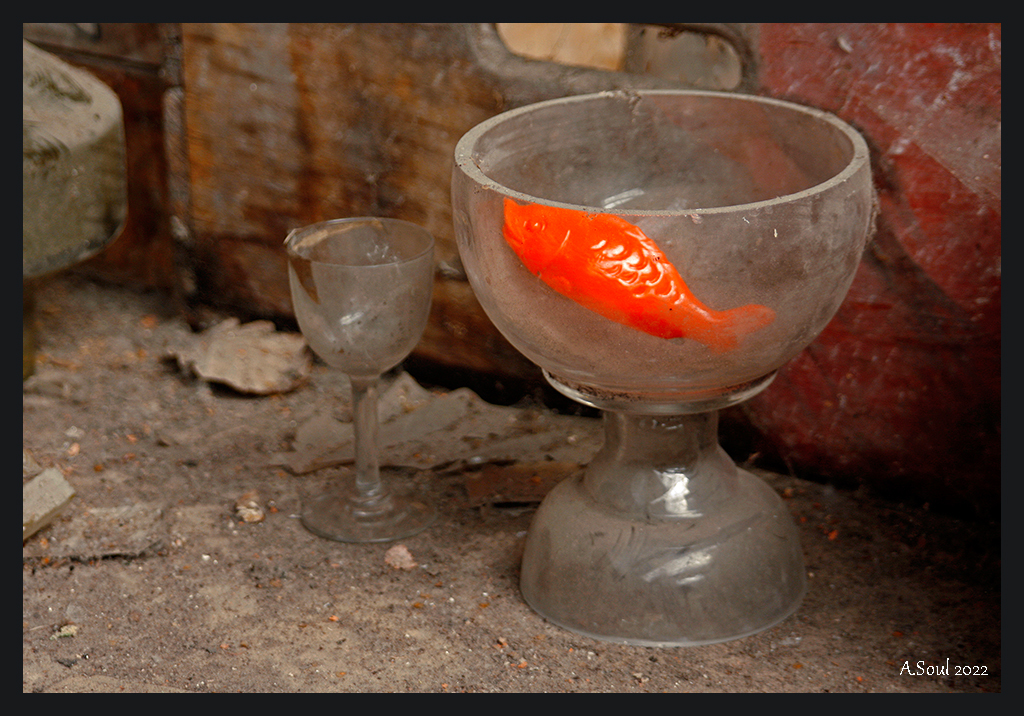 Fisch im Glas
