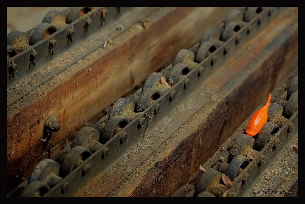 In Reihe gerollt