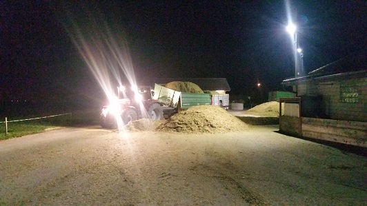 Den Mais bringen wir in die Trocknungsanlage Eschlikon