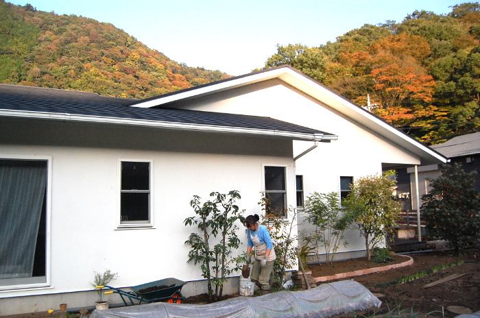 庭木の植え替え