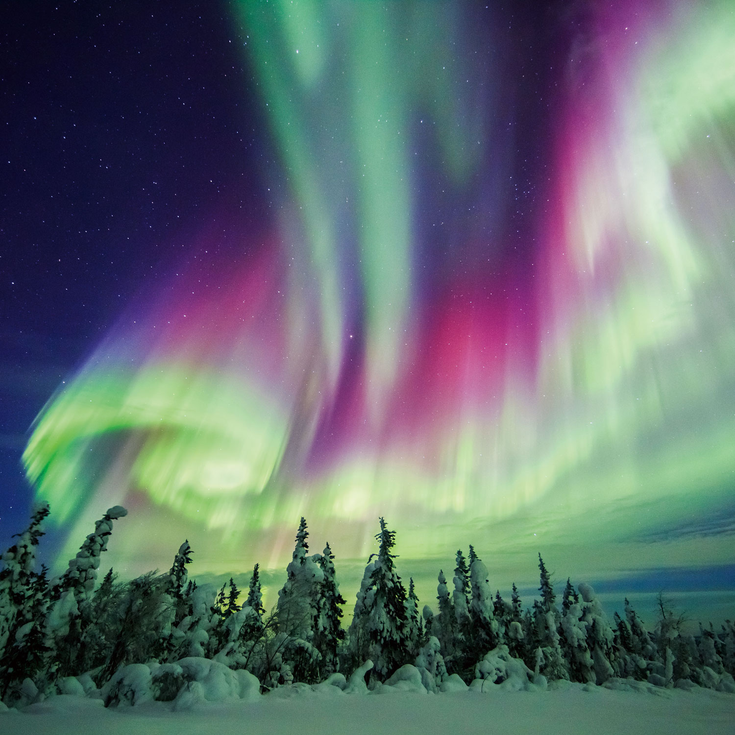 私の愛したオーロラとアラスカの大自然 - 【公式】新潟発！内容充実