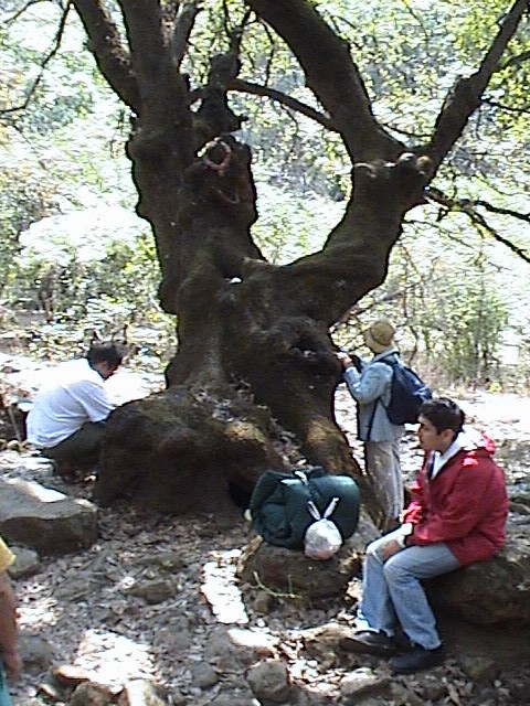 Extreme Survival Weekends in Nature.