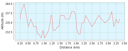 Profil Homburger Citylauf