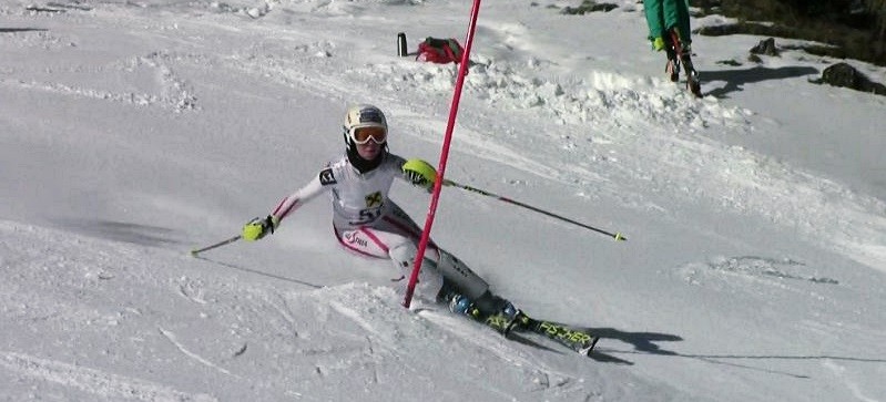FIS-RACE