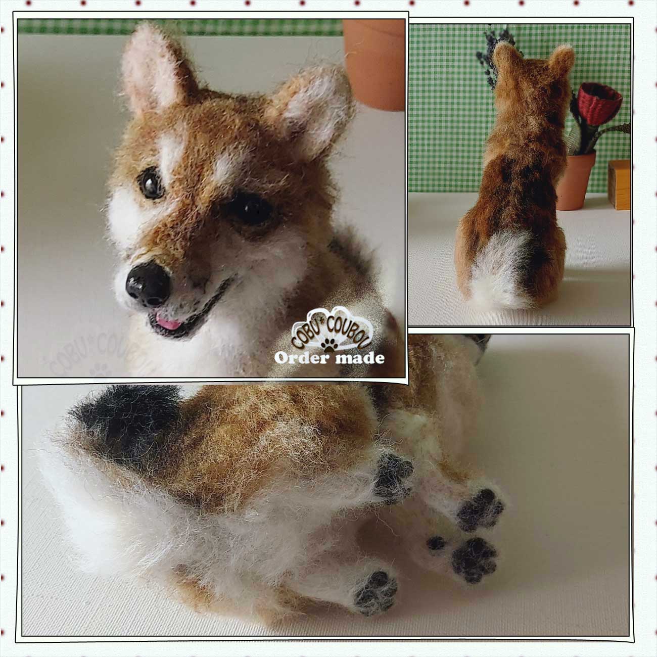 ☆柴犬☆