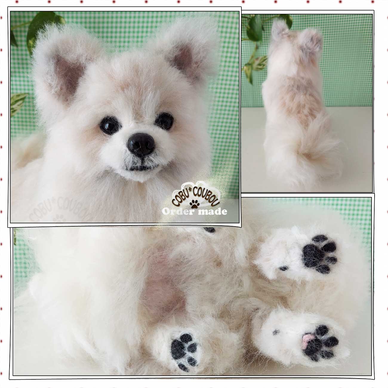 ☆ポメラニアン×マルチーズ☆