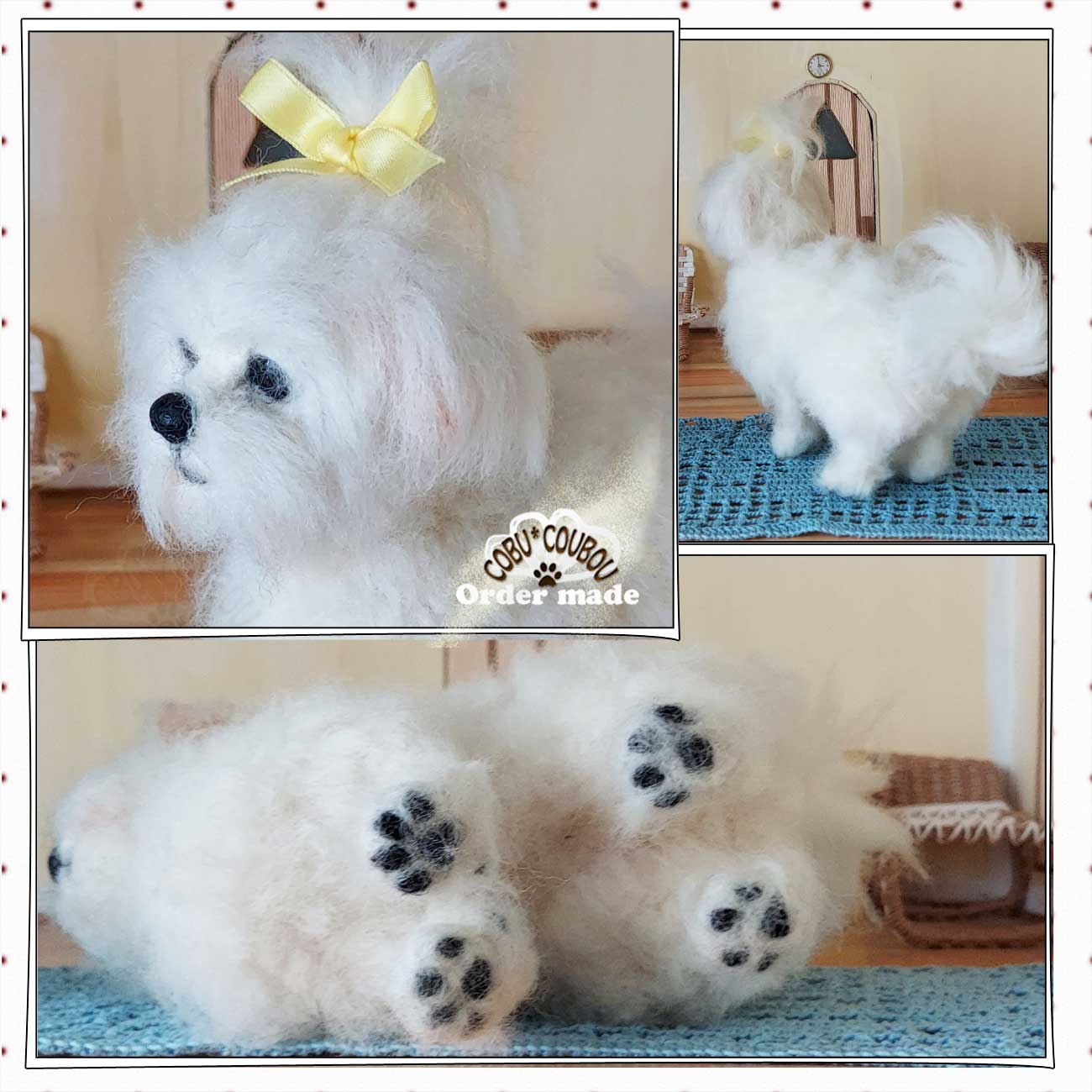 ☆マルチーズ☆