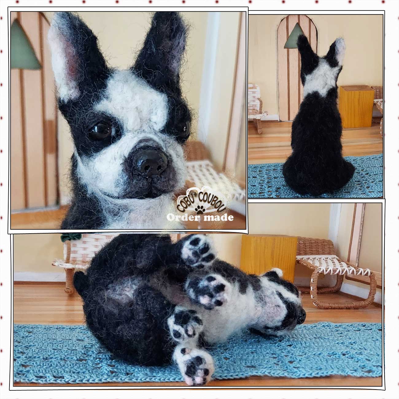 ☆ボストンテリア☆