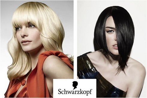 Schwarzkopf professional