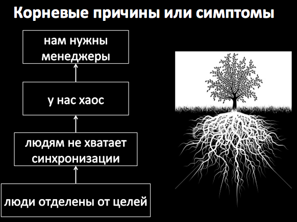 почему корневой. почему корневой. почему корневой. почему корневой.