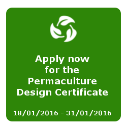 Permaculture Design Certificate (PDC)