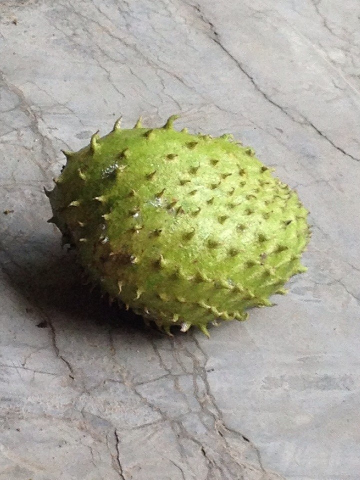 Outch Fruit