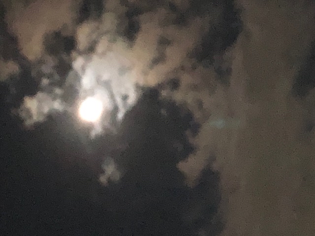 昨日のお月さま🌔