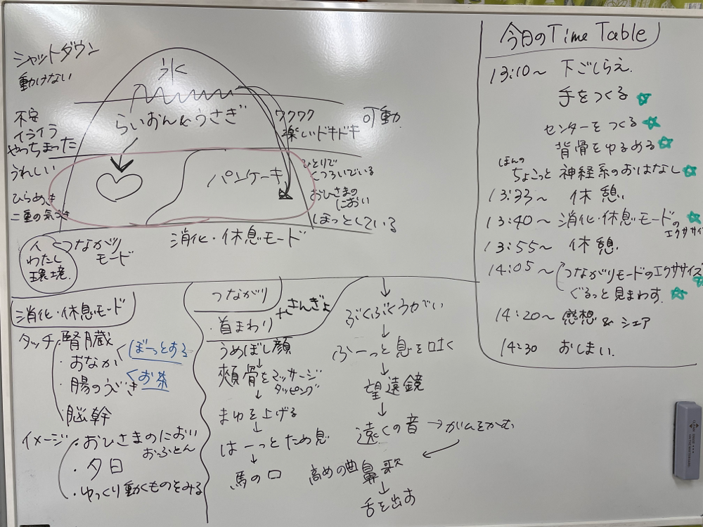 今日の板書✏️