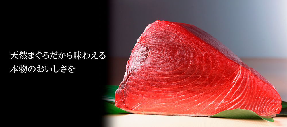 トップページ 沼津港発 天然南マグロ専門店 まぐろの魚栄 トップページ 沼津港発 天然南マグロ専門店 まぐろの魚栄