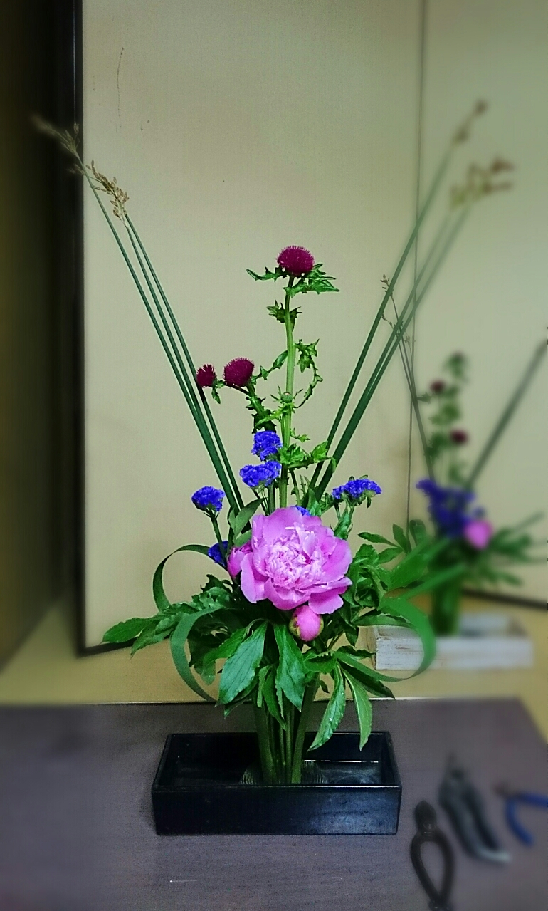 京都未生流 生け花教室 寄せ植え教室Lucia（ルチア）