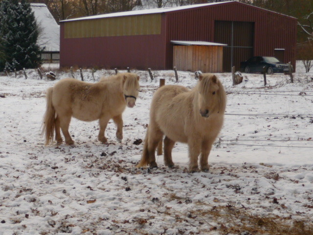 ...Willeke und Zep...