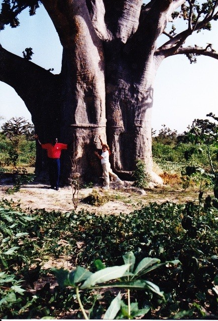 Et moi qui trouvait déjà que le guide était très grand !!! super baobab !
