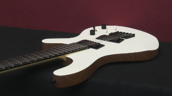 Gitarrenbau Custom-Gitarren Custom-Bässe Sonderanfertigungen