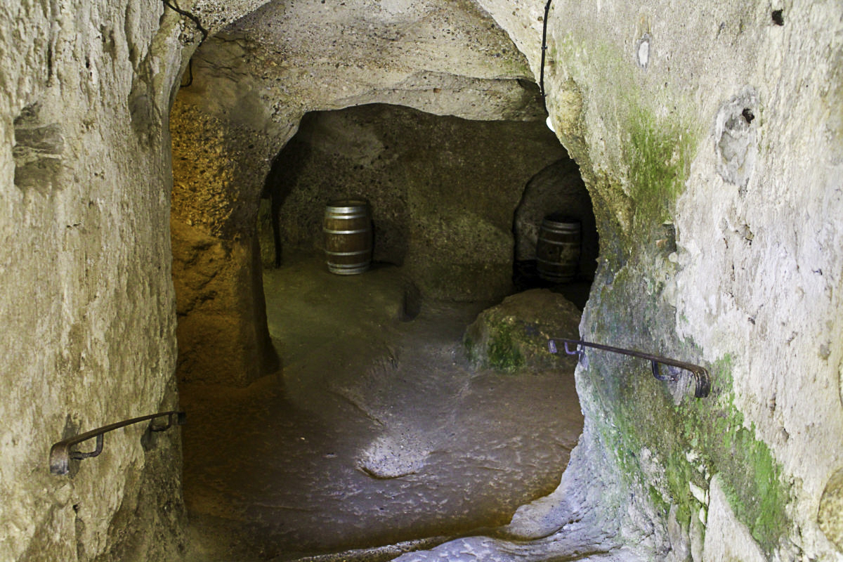 Alte Blanquette-Fässer in der Abbaye de Saint-Hilaire