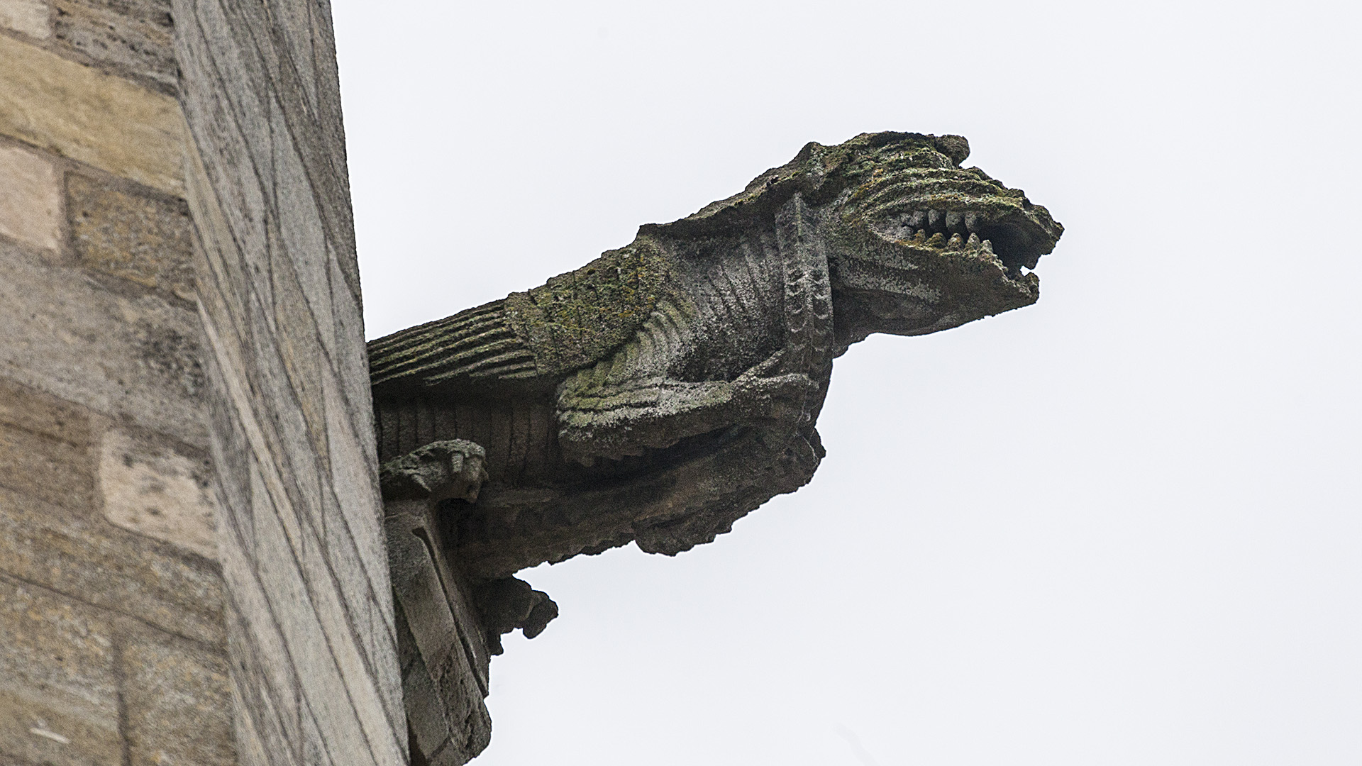 Bild: Wasserspeier & Monster an der Basilika Notre Dame de L`Épine 